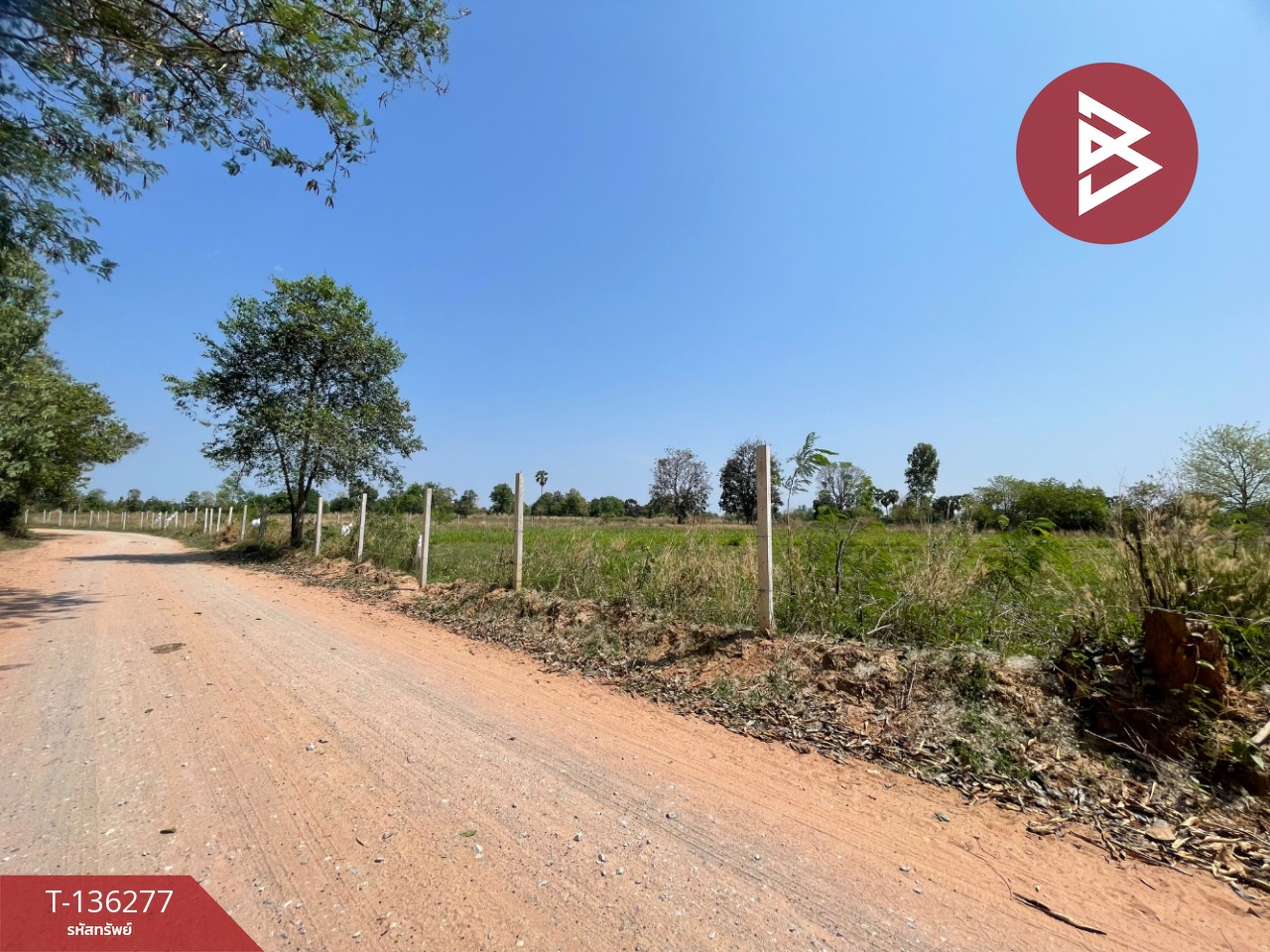 ขายที่ดิน เนื้อที่ 4 ไร่ 1 งาน 15.8 ตารางวา อ.บ้านไผ่ ขอนแก่น ทำเลดี 8