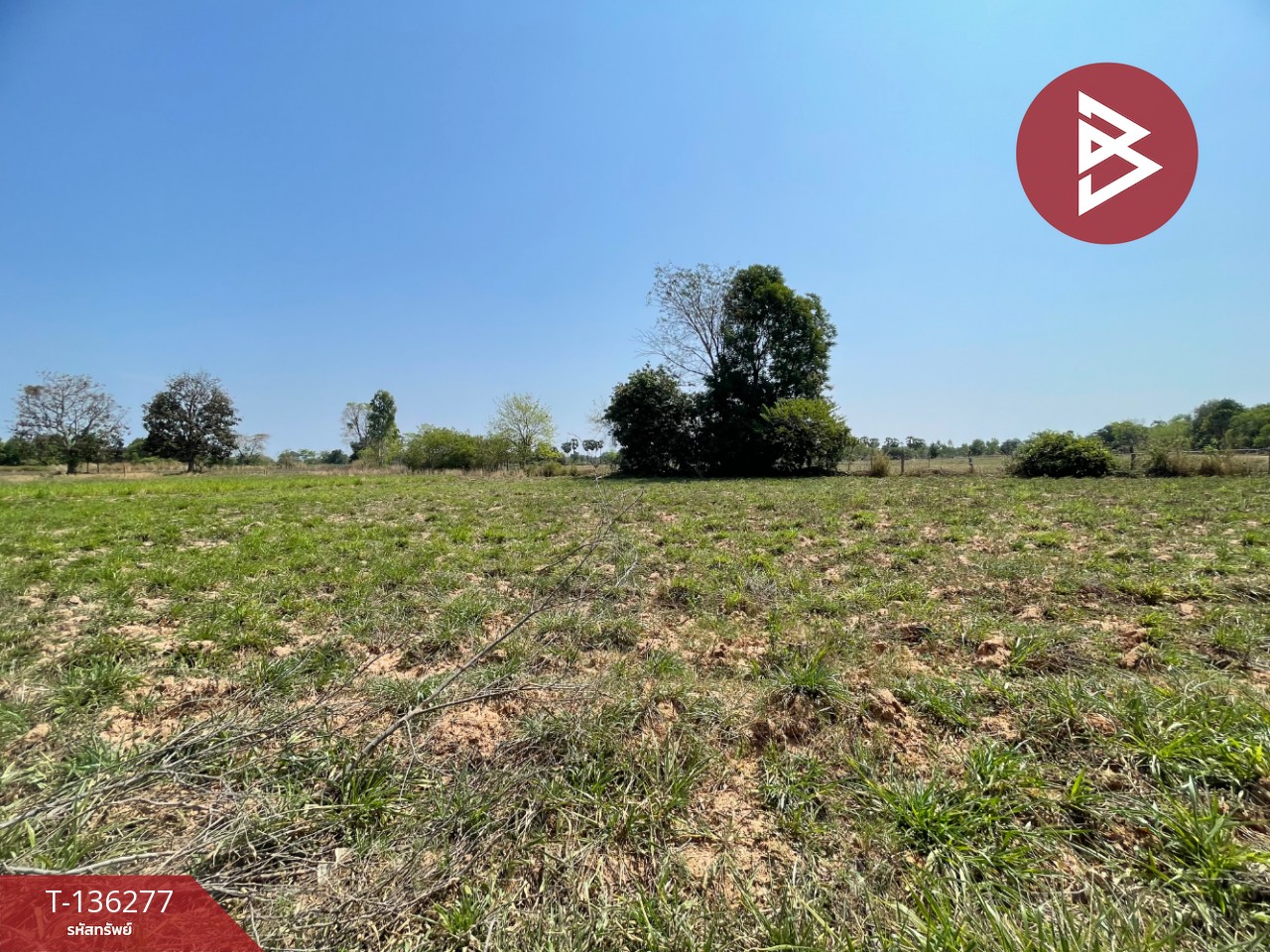 ขายที่ดิน เนื้อที่ 4 ไร่ 1 งาน 15.8 ตารางวา อ.บ้านไผ่ ขอนแก่น ทำเลดี 1