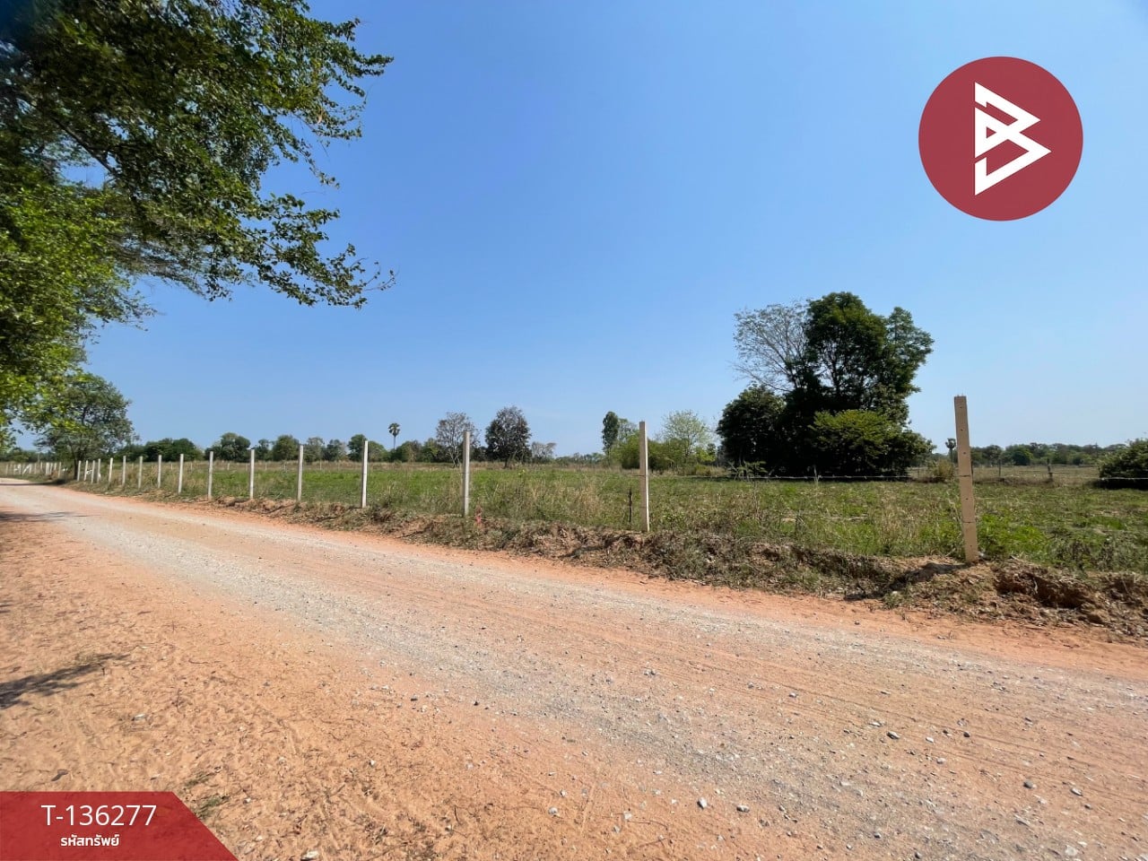 ขายที่ดิน เนื้อที่ 4 ไร่ 1 งาน 15.8 ตารางวา อ.บ้านไผ่ ขอนแก่น ทำเลดี 11