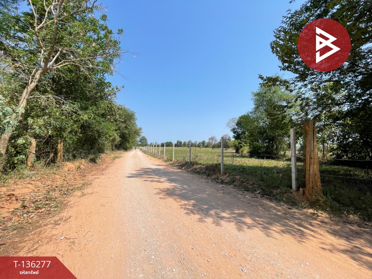 ขายที่ดิน เนื้อที่ 4 ไร่ 1 งาน 15.8 ตารางวา อ.บ้านไผ่ ขอนแก่น ทำเลดี 12