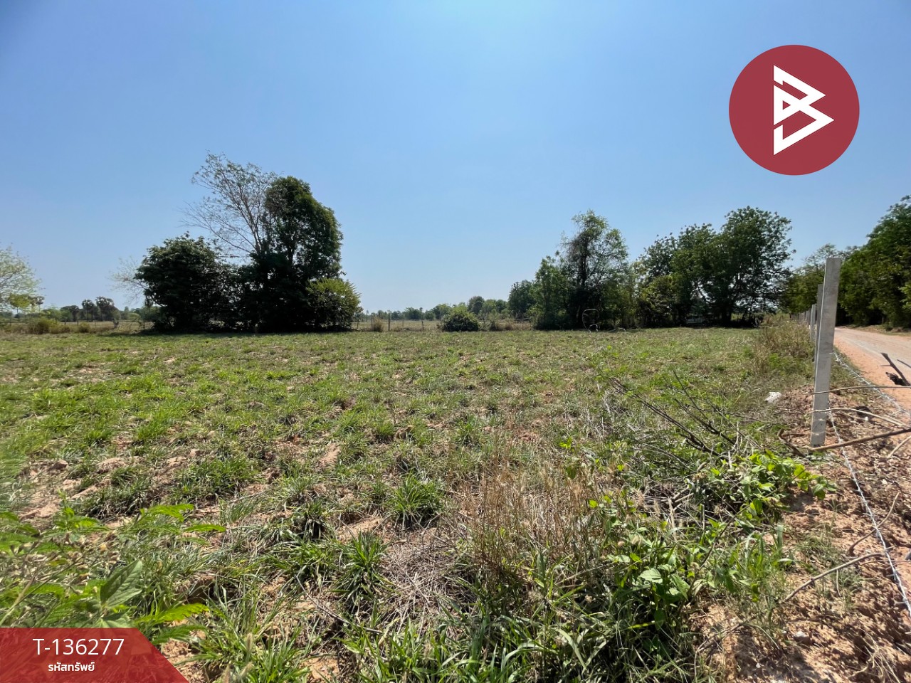 ขายที่ดิน เนื้อที่ 4 ไร่ 1 งาน 15.8 ตารางวา อ.บ้านไผ่ ขอนแก่น ทำเลดี 3