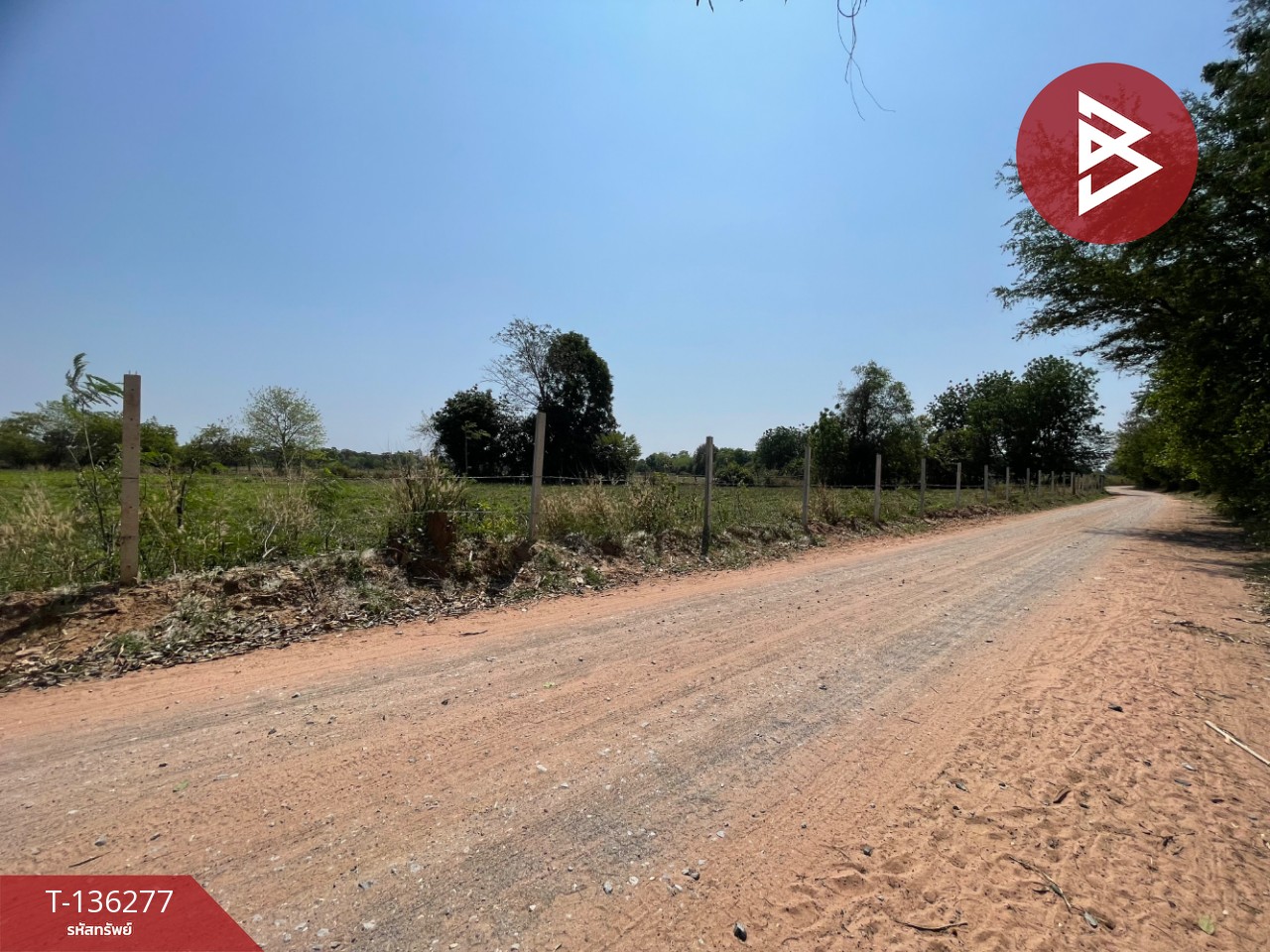 ขายที่ดิน เนื้อที่ 4 ไร่ 1 งาน 15.8 ตารางวา อ.บ้านไผ่ ขอนแก่น ทำเลดี 9