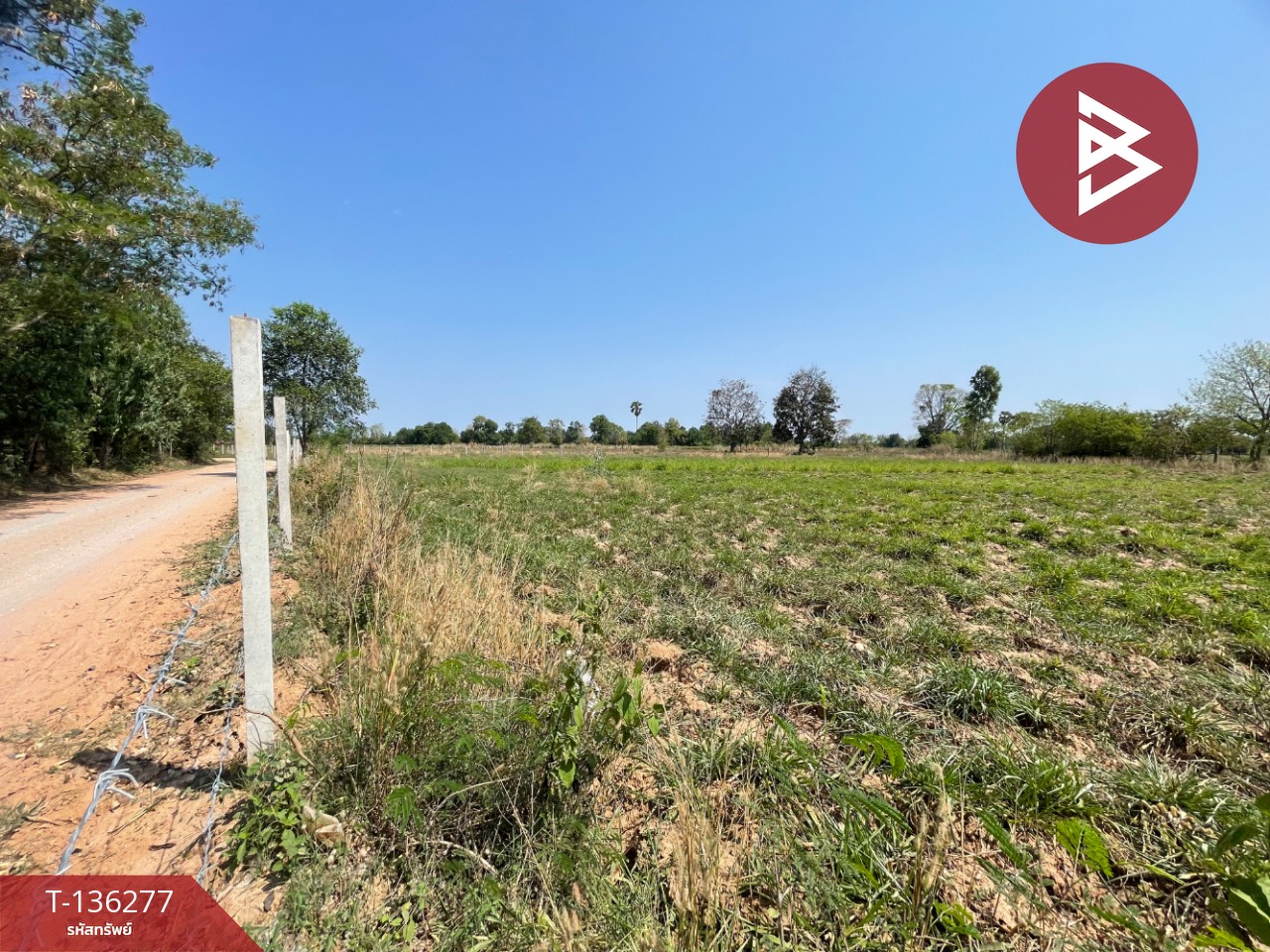 ขายที่ดิน เนื้อที่ 4 ไร่ 1 งาน 15.8 ตารางวา อ.บ้านไผ่ ขอนแก่น ทำเลดี 4