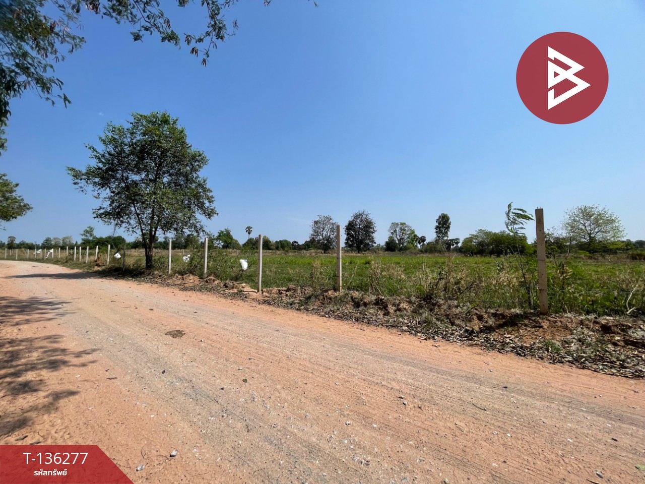 ขายที่ดิน เนื้อที่ 4 ไร่ 1 งาน 15.8 ตารางวา อ.บ้านไผ่ ขอนแก่น ทำเลดี 6