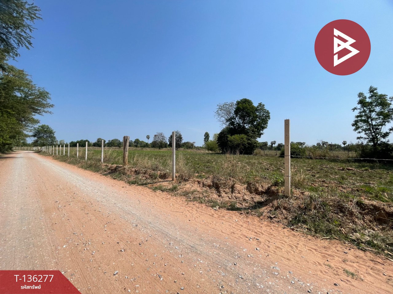 ขายที่ดิน เนื้อที่ 4 ไร่ 1 งาน 15.8 ตารางวา อ.บ้านไผ่ ขอนแก่น ทำเลดี 10