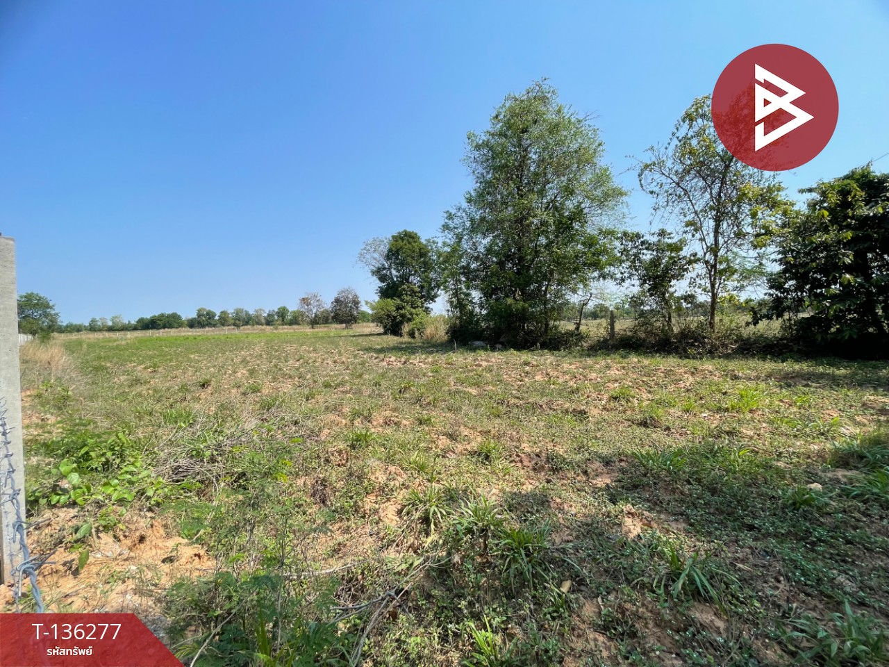 ขายที่ดิน เนื้อที่ 4 ไร่ 1 งาน 15.8 ตารางวา อ.บ้านไผ่ ขอนแก่น ทำเลดี 2