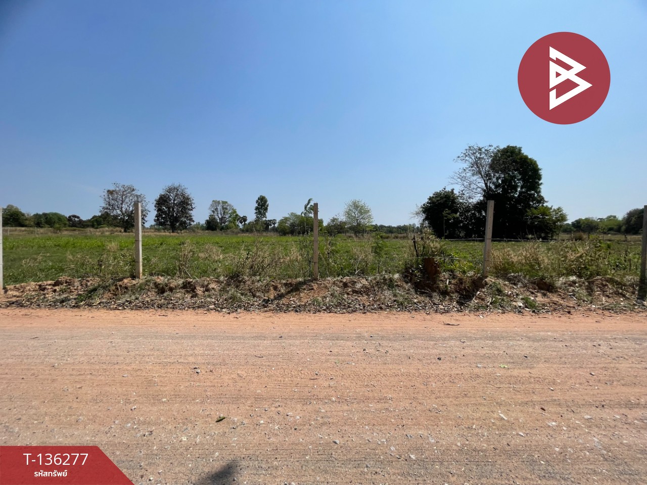 ขายที่ดิน เนื้อที่ 4 ไร่ 1 งาน 15.8 ตารางวา อ.บ้านไผ่ ขอนแก่น ทำเลดี 5