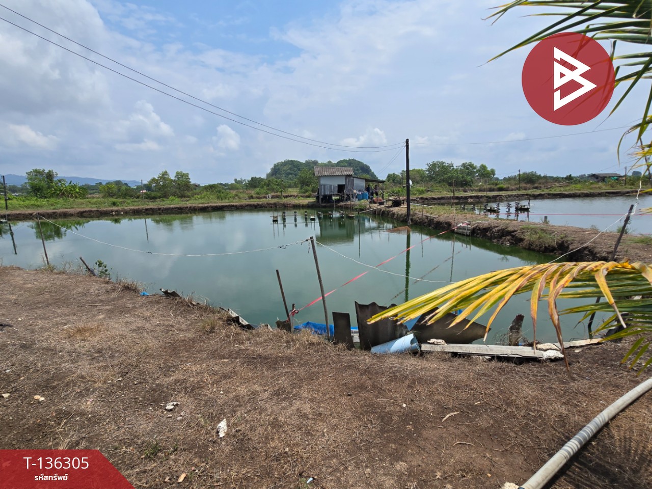 ขายที่ดิน เนื้อที่ 22 ไร่ 1 งาน 92 ตร.วา แหลมสิงห์ จันทบุรี 8