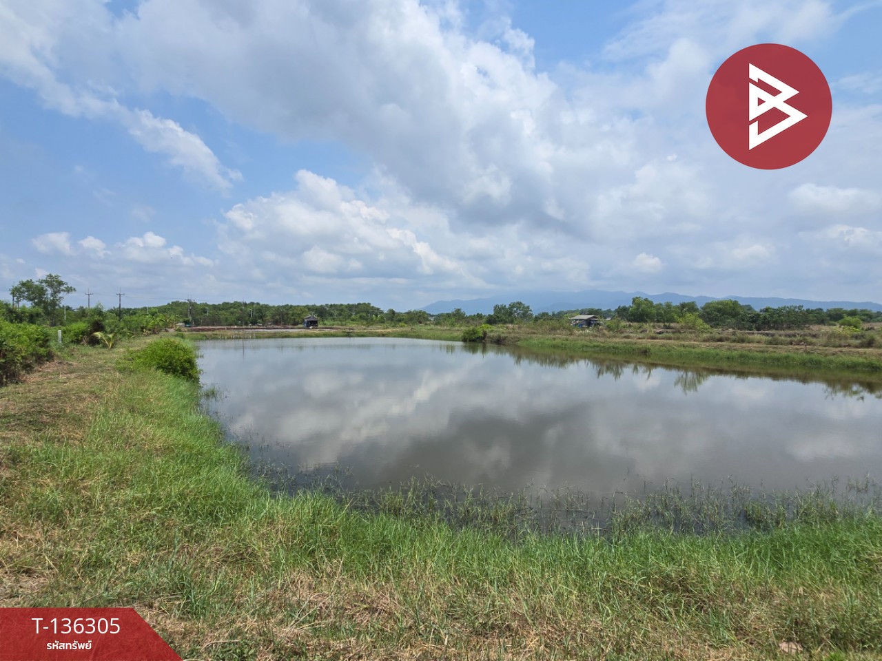 ขายที่ดิน เนื้อที่ 22 ไร่ 1 งาน 92 ตร.วา แหลมสิงห์ จันทบุรี 2