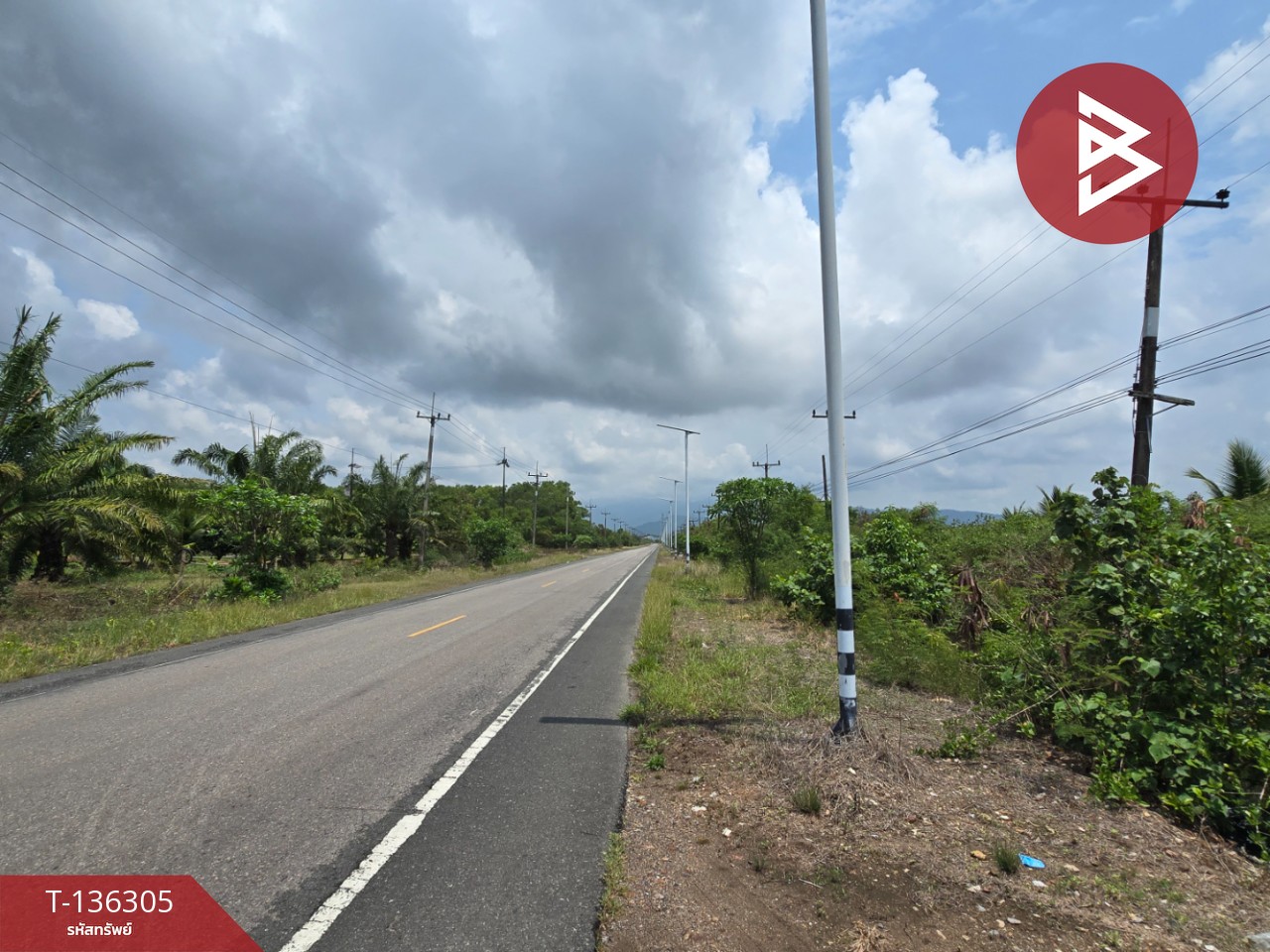 ขายที่ดิน เนื้อที่ 22 ไร่ 1 งาน 92 ตร.วา แหลมสิงห์ จันทบุรี 10