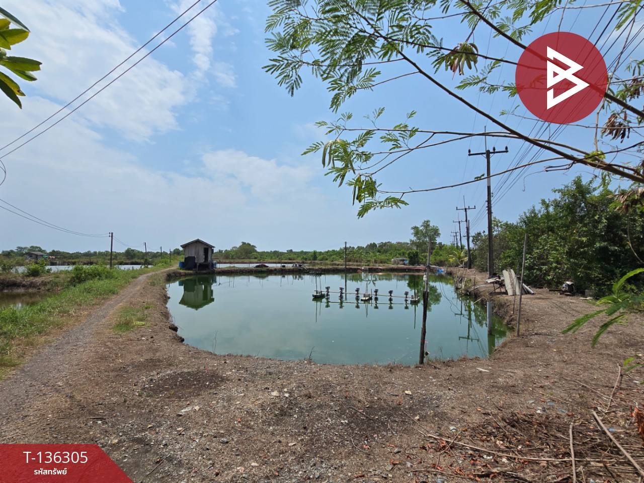 ขายที่ดิน เนื้อที่ 22 ไร่ 1 งาน 92 ตร.วา แหลมสิงห์ จันทบุรี 5