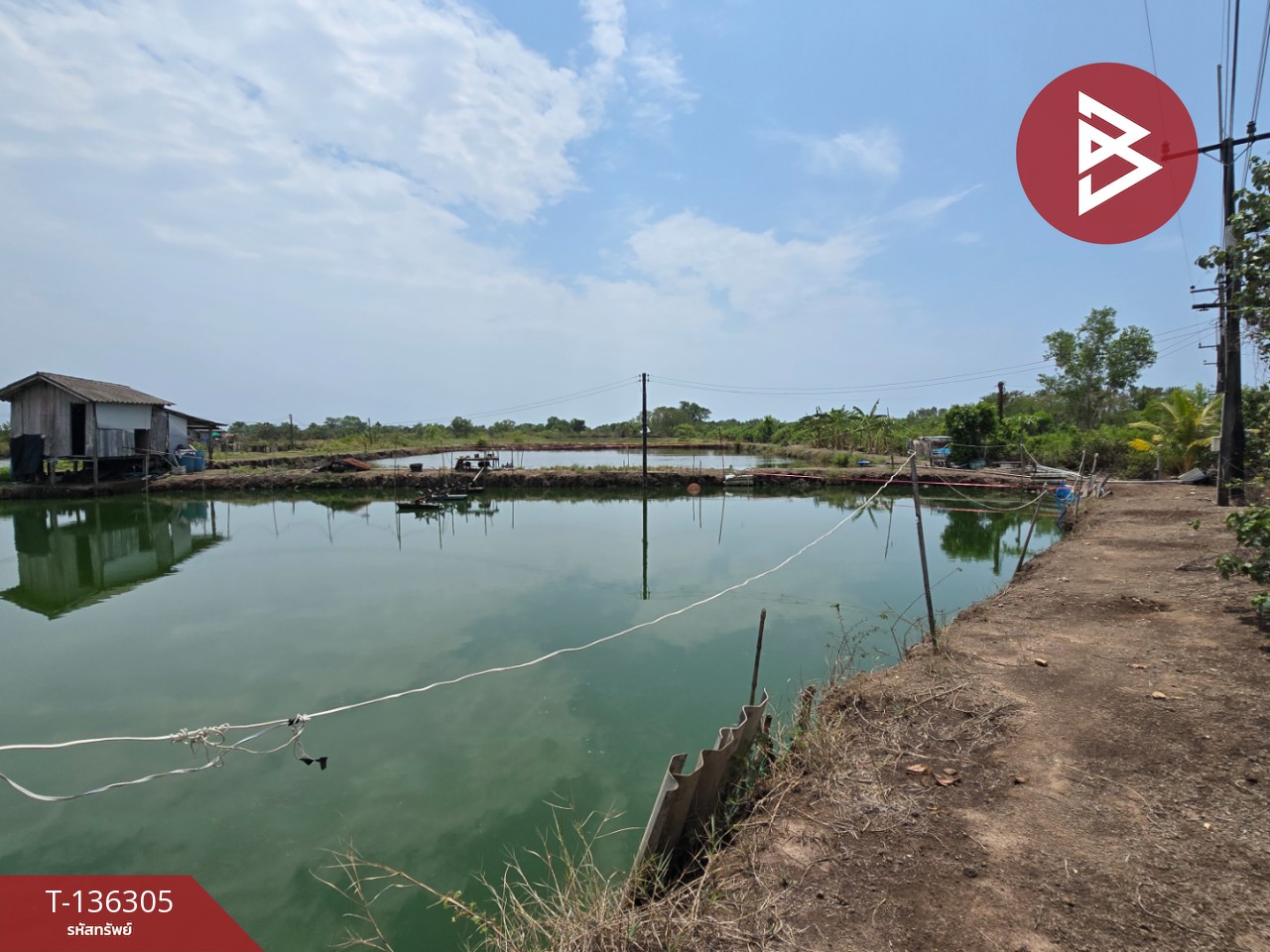 ขายที่ดิน เนื้อที่ 22 ไร่ 1 งาน 92 ตร.วา แหลมสิงห์ จันทบุรี 6