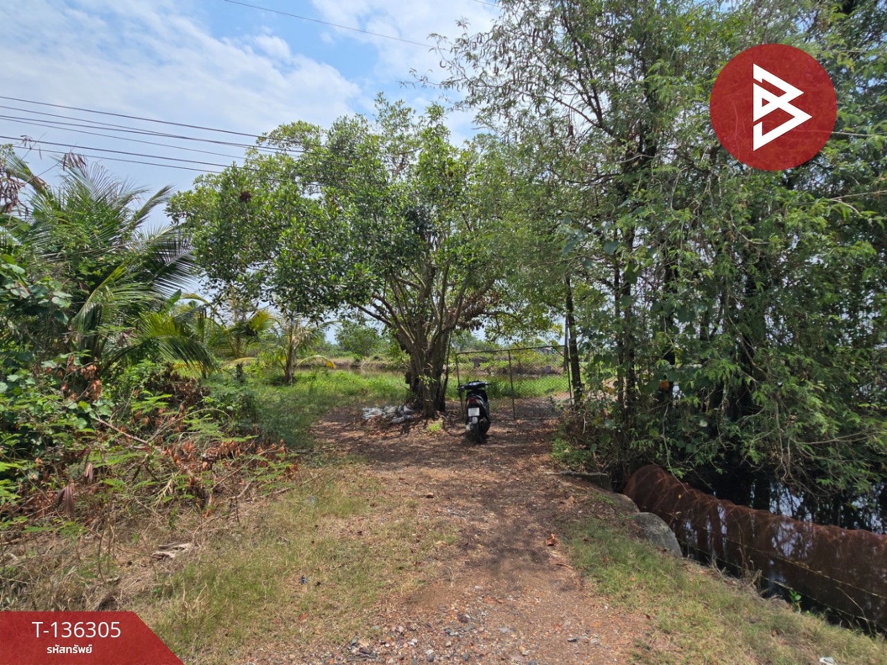 ขายที่ดิน เนื้อที่ 22 ไร่ 1 งาน 92 ตร.วา แหลมสิงห์ จันทบุรี 9