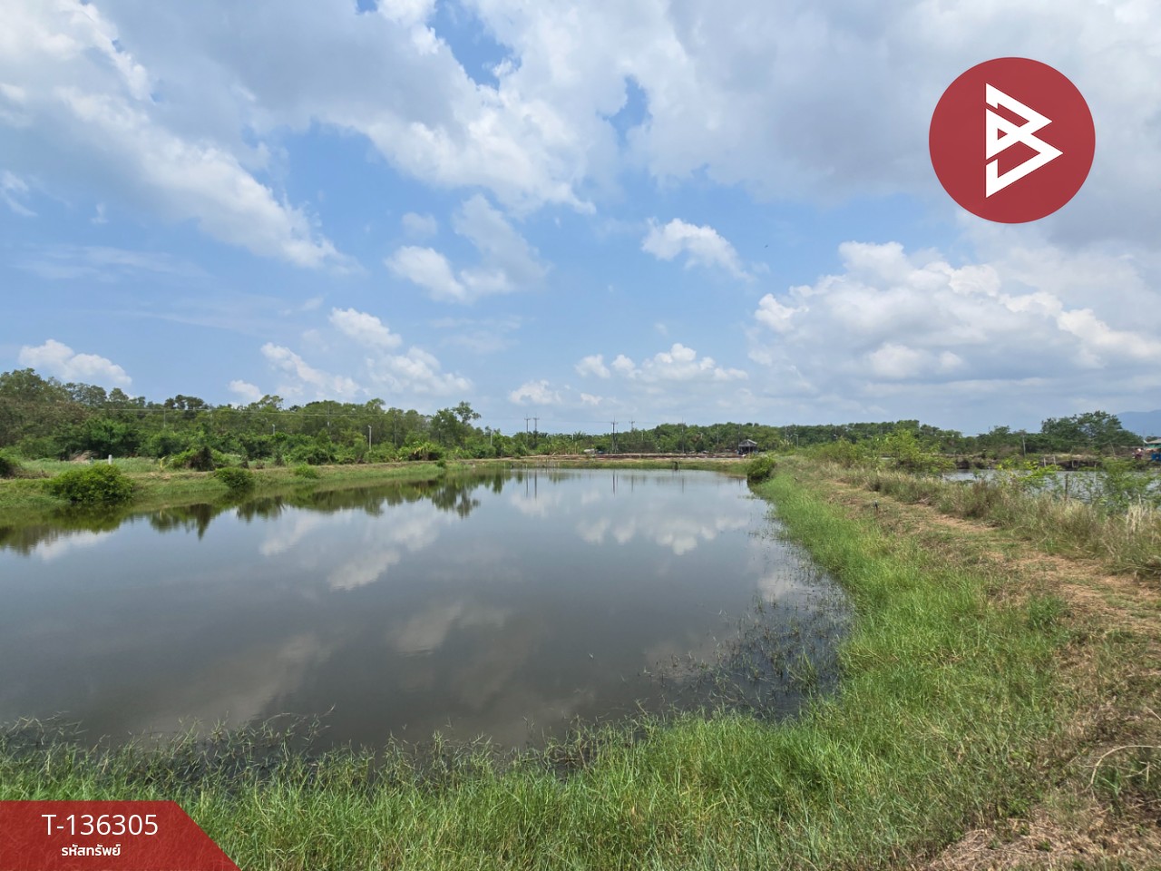 ขายที่ดิน เนื้อที่ 22 ไร่ 1 งาน 92 ตร.วา แหลมสิงห์ จันทบุรี 3