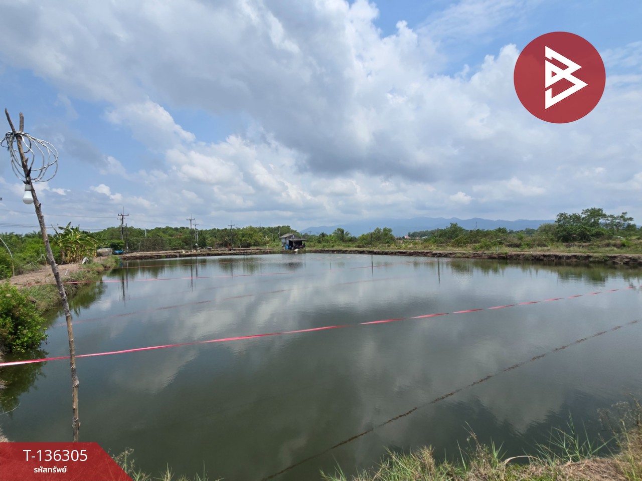 ขายที่ดิน เนื้อที่ 22 ไร่ 1 งาน 92 ตร.วา แหลมสิงห์ จันทบุรี 1