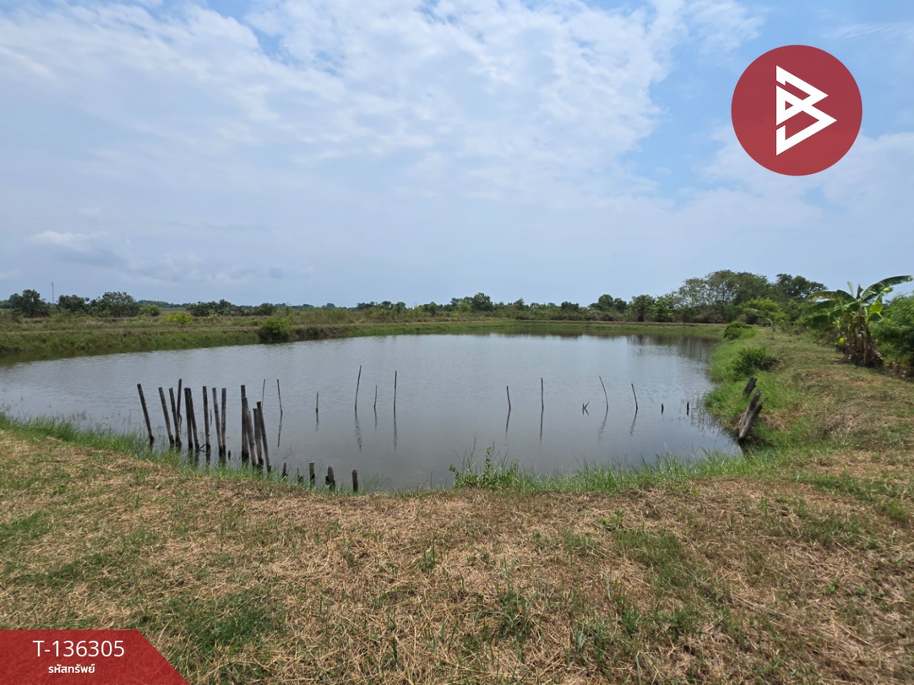 ขายที่ดิน เนื้อที่ 22 ไร่ 1 งาน 92 ตร.วา แหลมสิงห์ จันทบุรี 7