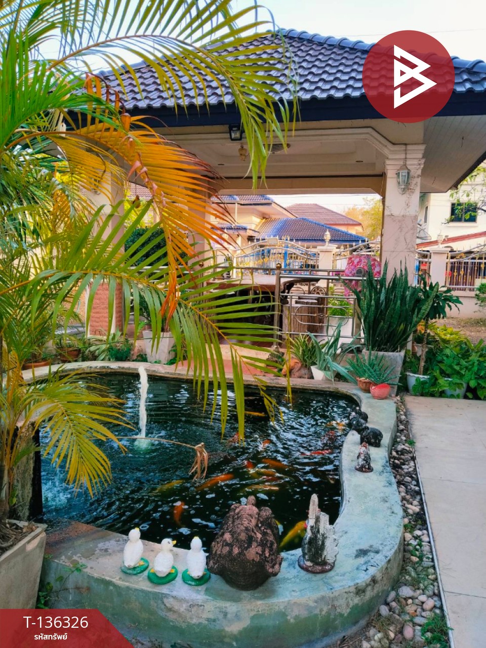 ขายบ้านเดี่ยว เนื้อที่ 1 งาน 46 ตารางวา หนองปลิง กำแพงเพชร 5