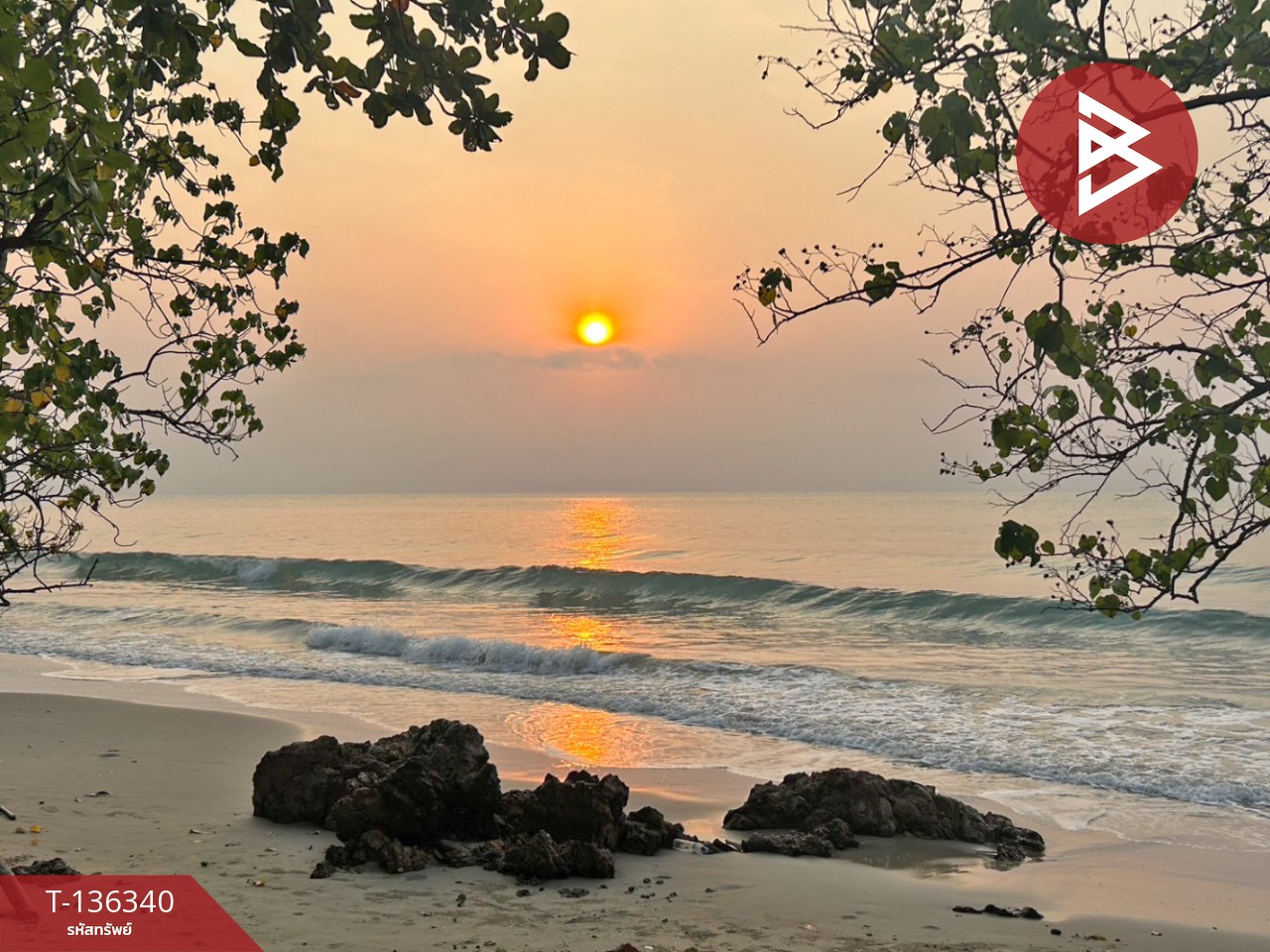 ขายบ้านเดี่ยวพร้อมกิจการ เนื้อที่ 1 งาน 1.9 ตร.วา แกลง ระยอง 12