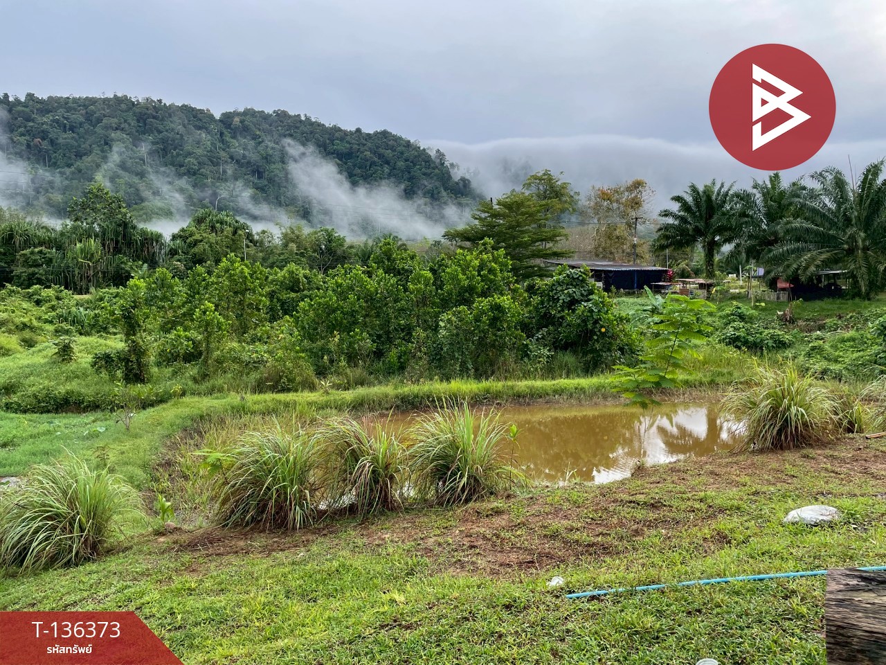 ขายที่ดิน เนื้อที่ 7 ไร่ 3 งาน 63.8 ตร.วา ตะกั่วป่า พังงา 5