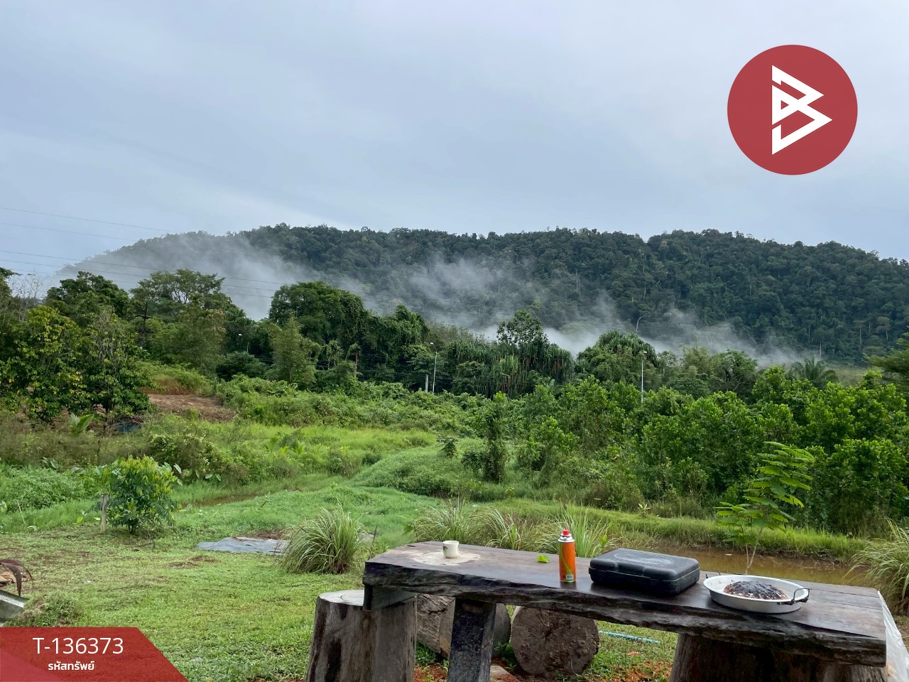 ขายที่ดิน เนื้อที่ 7 ไร่ 3 งาน 63.8 ตร.วา ตะกั่วป่า พังงา 1