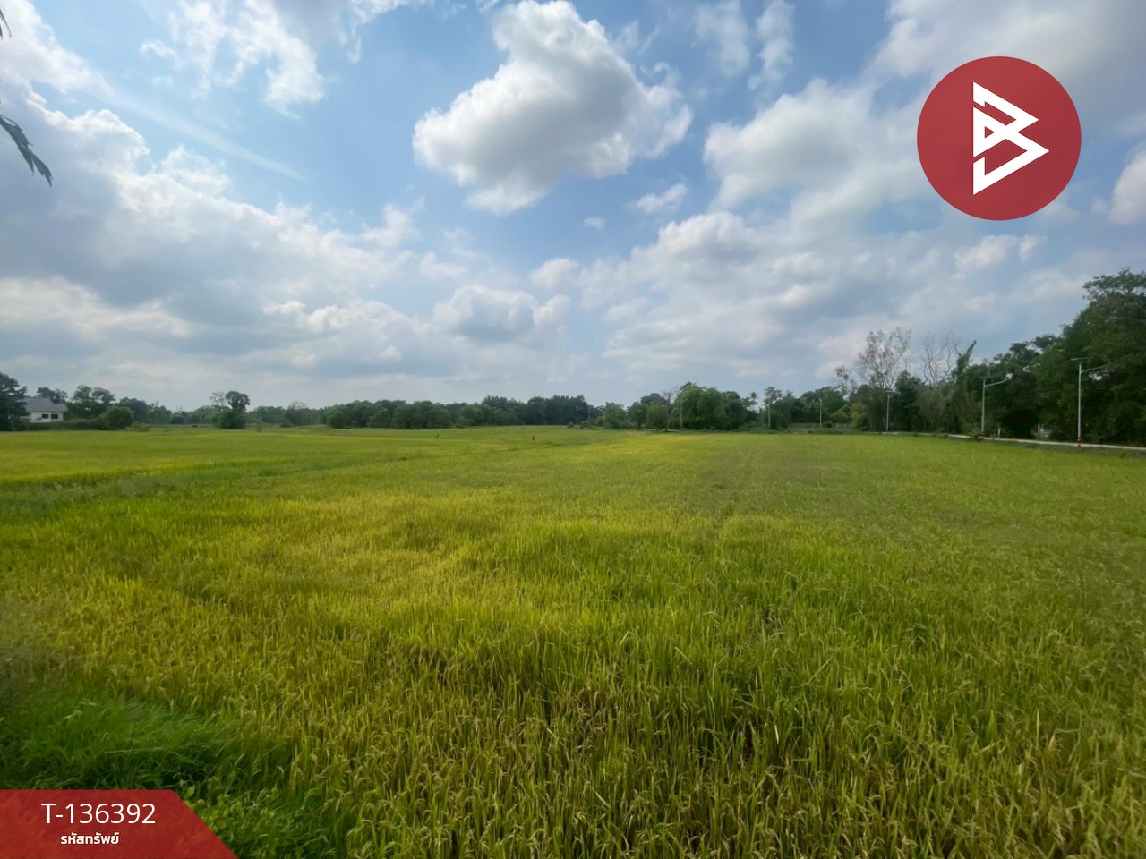 ขายบ้านเดี่ยว หมู่บ้านชลมาศ ริเวอร์วิว ระยอง 14