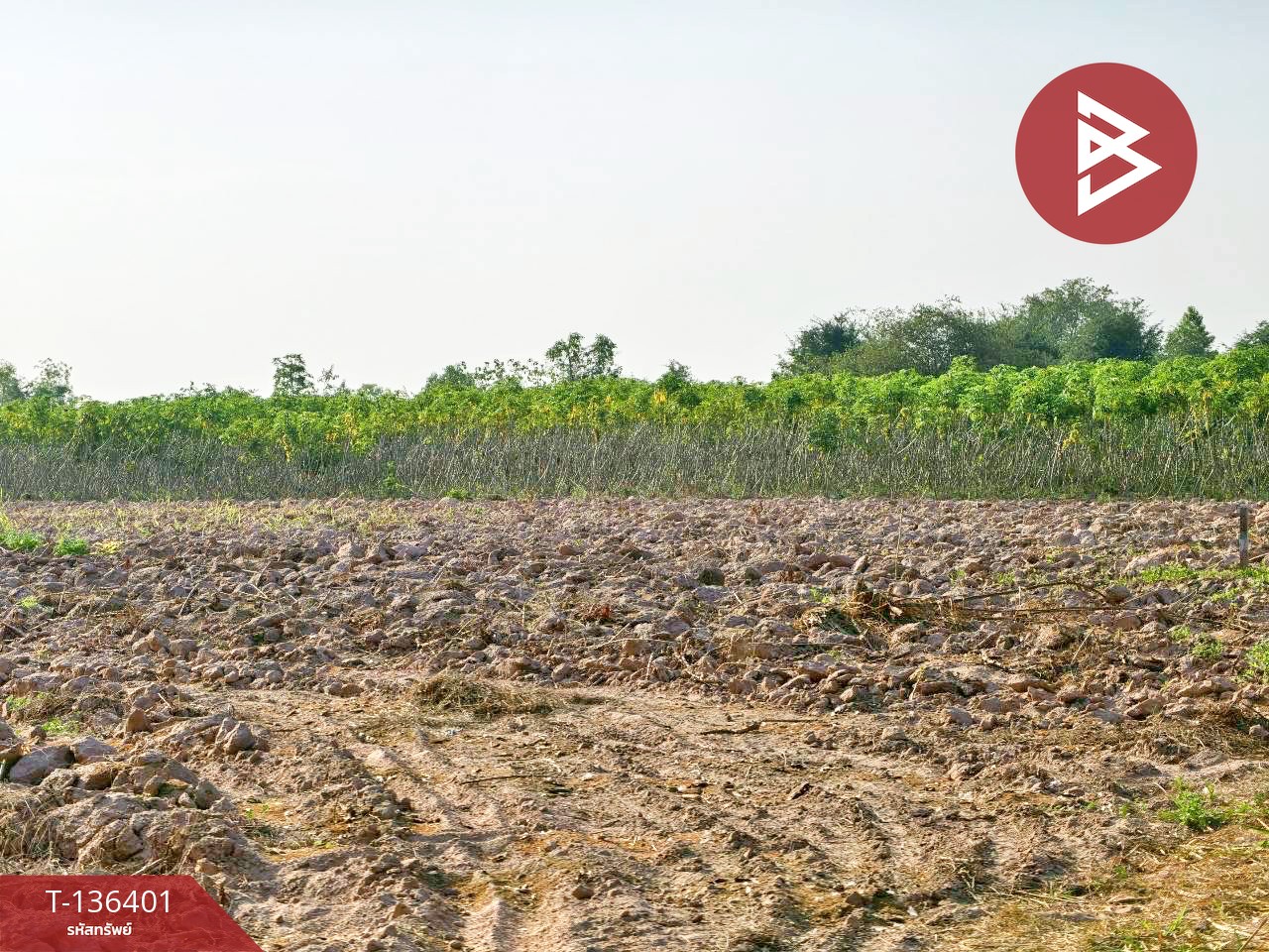 ขายที่ดินเปล่า เนื้อที่ 10 ไร่ 1 งาน 36 ตารางวา จอมบึง ราชบุรี 7