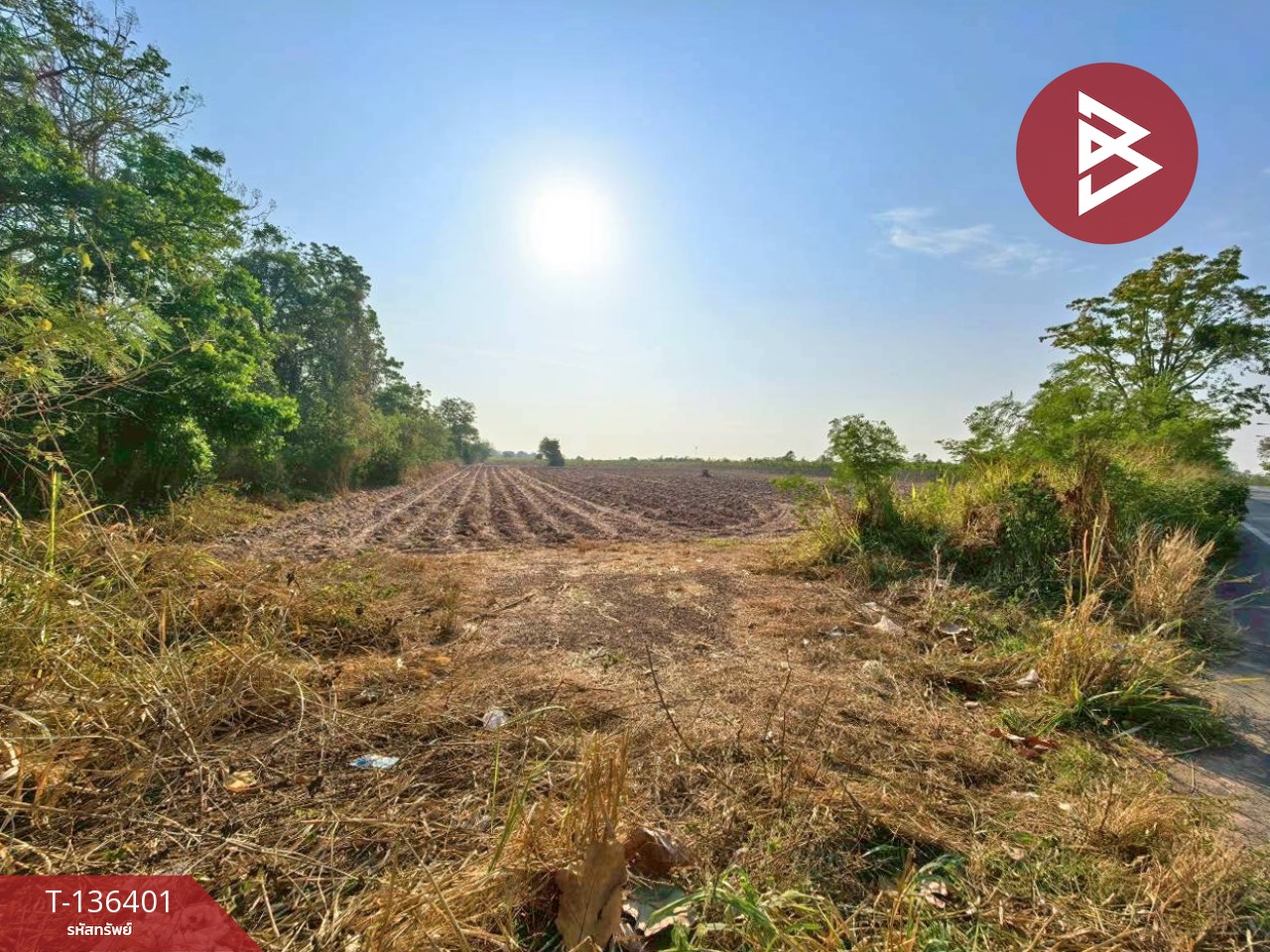 ขายที่ดินเปล่า เนื้อที่ 10 ไร่ 1 งาน 36 ตารางวา จอมบึง ราชบุรี 9