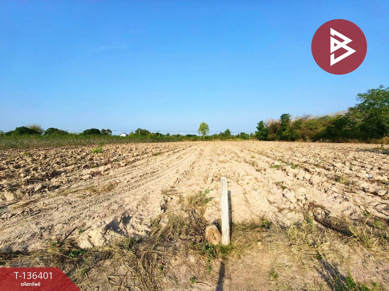 ขายที่ดินเปล่า เนื้อที่ 10 ไร่ 1 งาน 36 ตารางวา จอมบึง ราชบุรี 2