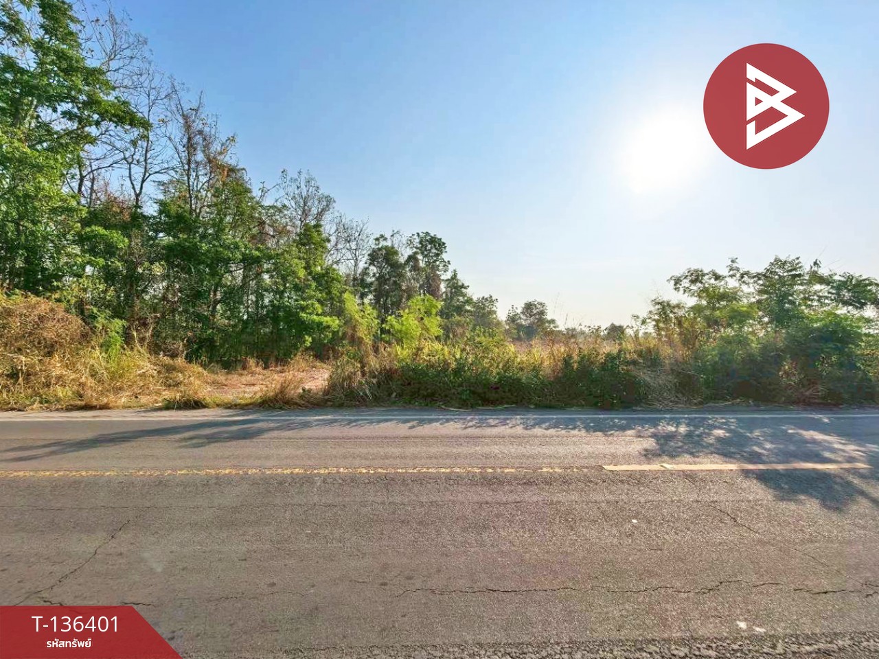 ขายที่ดินเปล่า เนื้อที่ 10 ไร่ 1 งาน 36 ตารางวา จอมบึง ราชบุรี 6