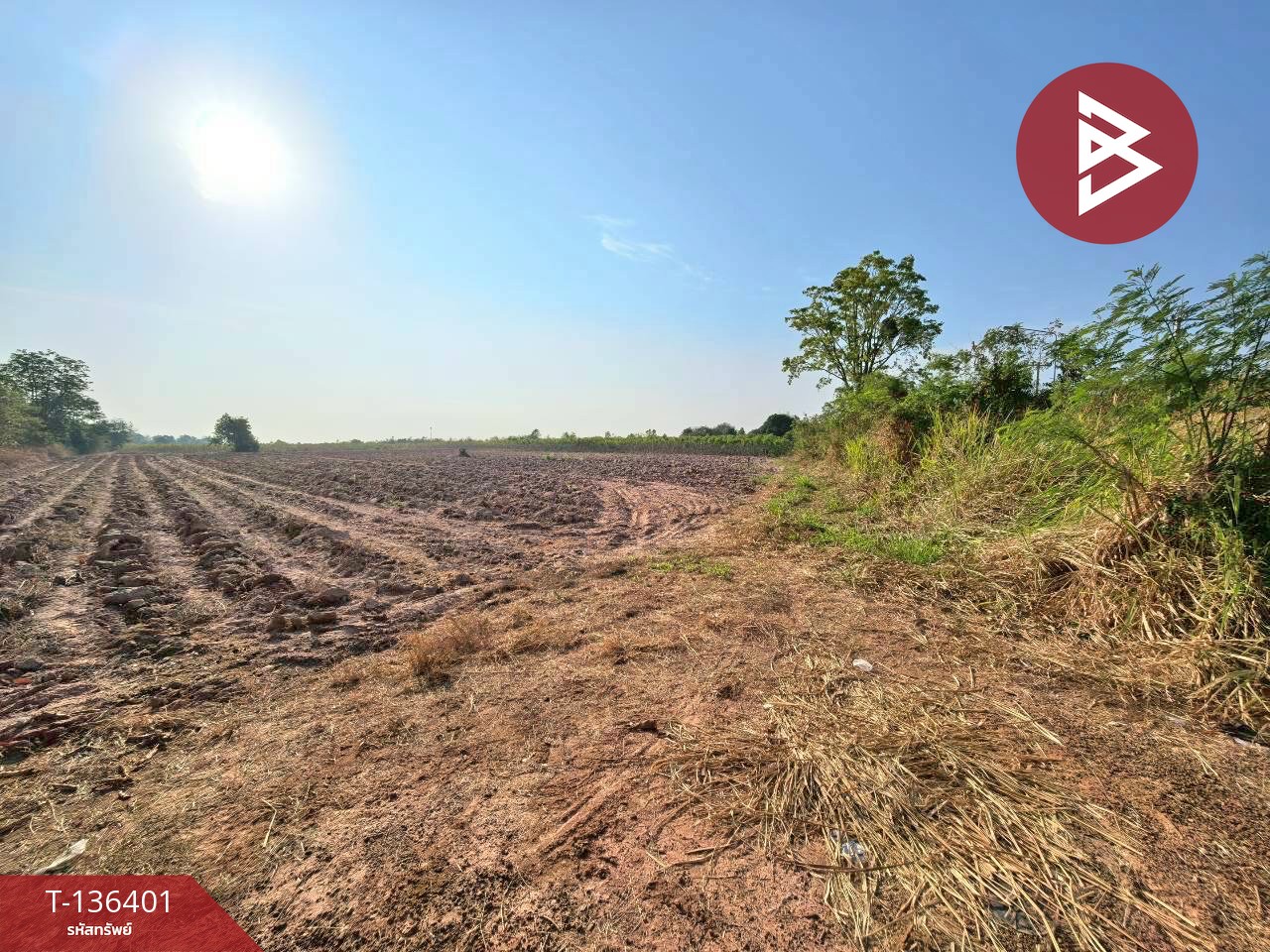 ขายที่ดินเปล่า เนื้อที่ 10 ไร่ 1 งาน 36 ตารางวา จอมบึง ราชบุรี 5