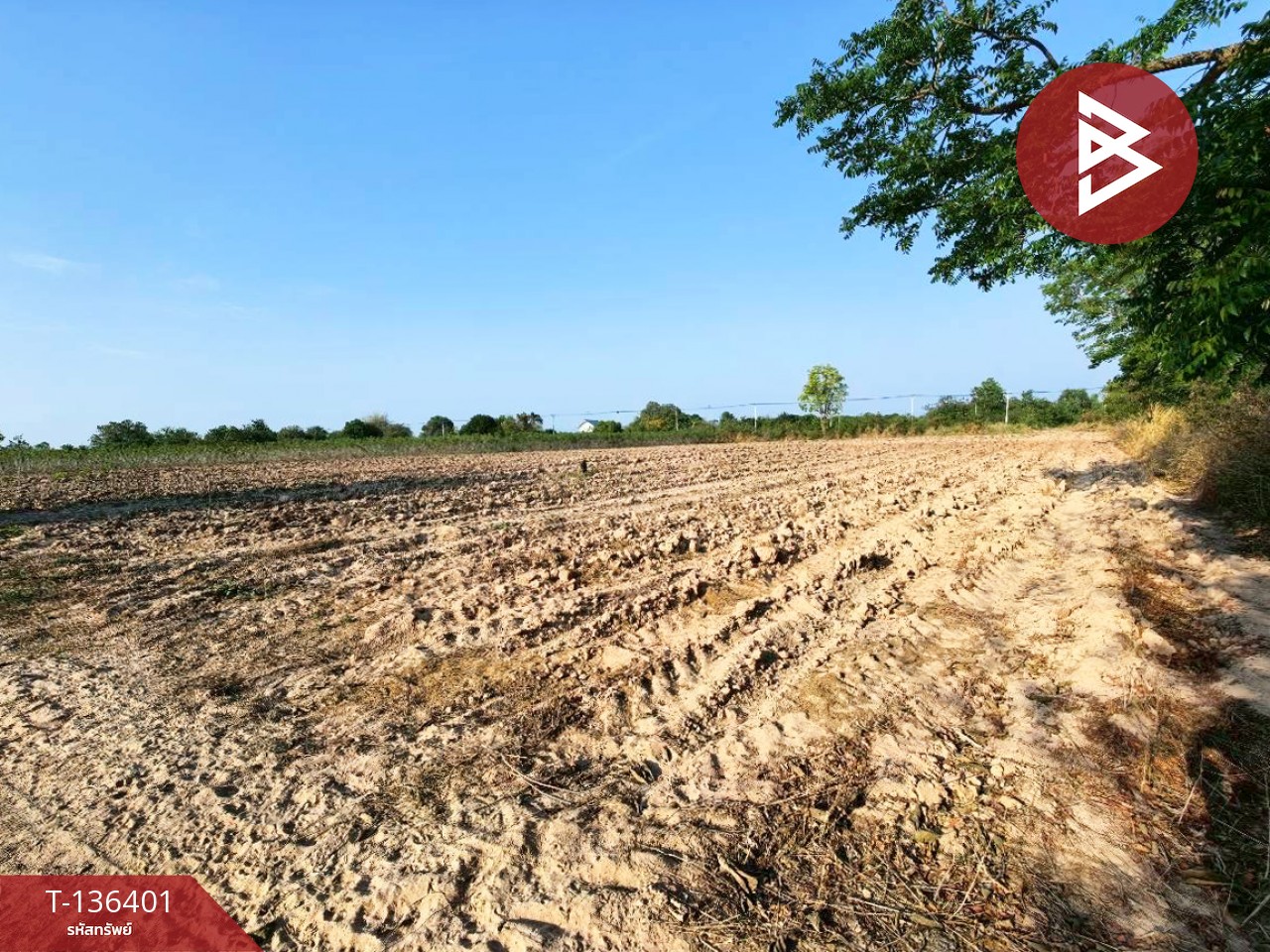 ขายที่ดินเปล่า เนื้อที่ 10 ไร่ 1 งาน 36 ตารางวา จอมบึง ราชบุรี 1