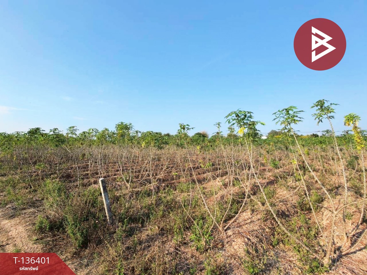 ขายที่ดินเปล่า เนื้อที่ 10 ไร่ 1 งาน 36 ตารางวา จอมบึง ราชบุรี 4