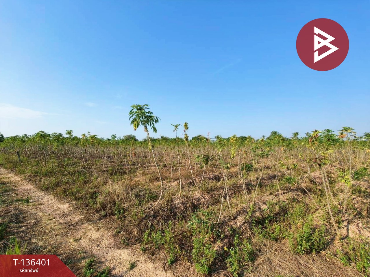 ขายที่ดินเปล่า เนื้อที่ 10 ไร่ 1 งาน 36 ตารางวา จอมบึง ราชบุรี 8