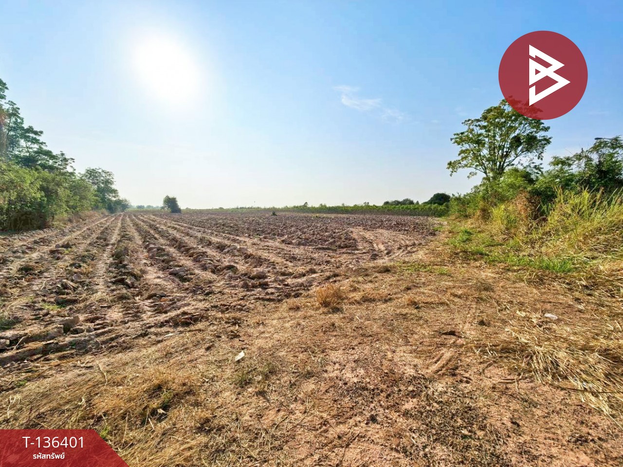 ขายที่ดินเปล่า เนื้อที่ 10 ไร่ 1 งาน 36 ตารางวา จอมบึง ราชบุรี 14