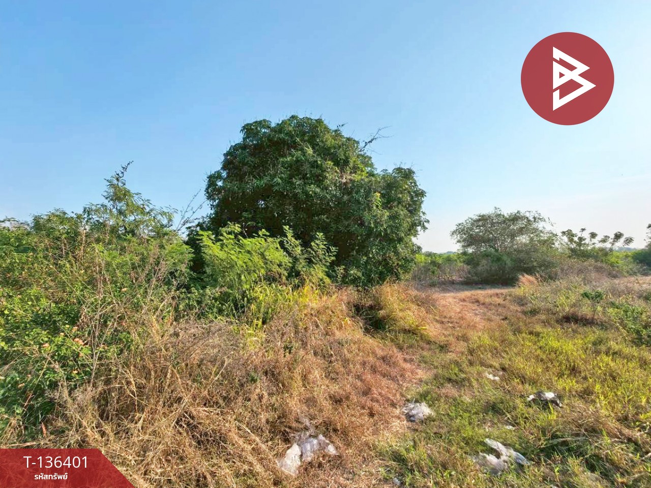 ขายที่ดินเปล่า เนื้อที่ 10 ไร่ 1 งาน 36 ตารางวา จอมบึง ราชบุรี 10