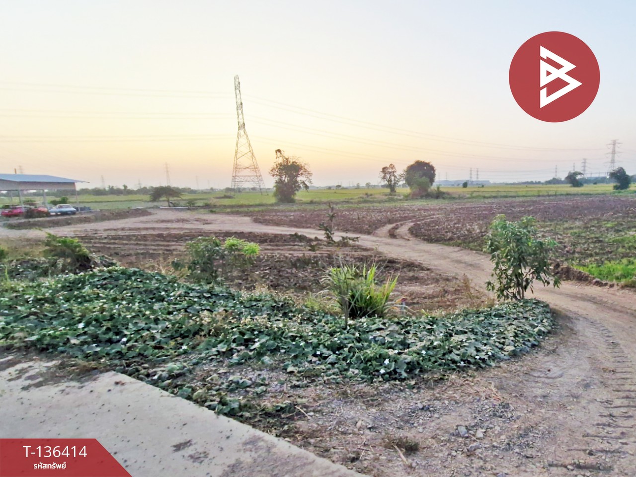 ขายที่ดิน เนื้อที่ 1 ไร่ 2 งาน 31 ตร.วา ท่าเรือ พระนครศรีอยุธยา 3