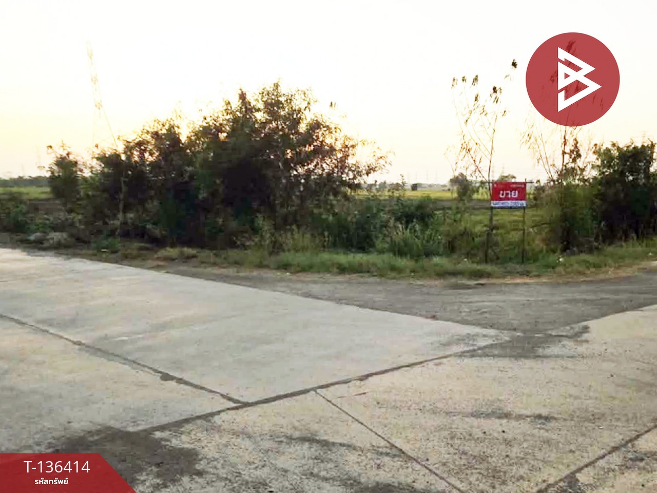 ขายที่ดิน เนื้อที่ 1 ไร่ 2 งาน 31 ตร.วา ท่าเรือ พระนครศรีอยุธยา 4