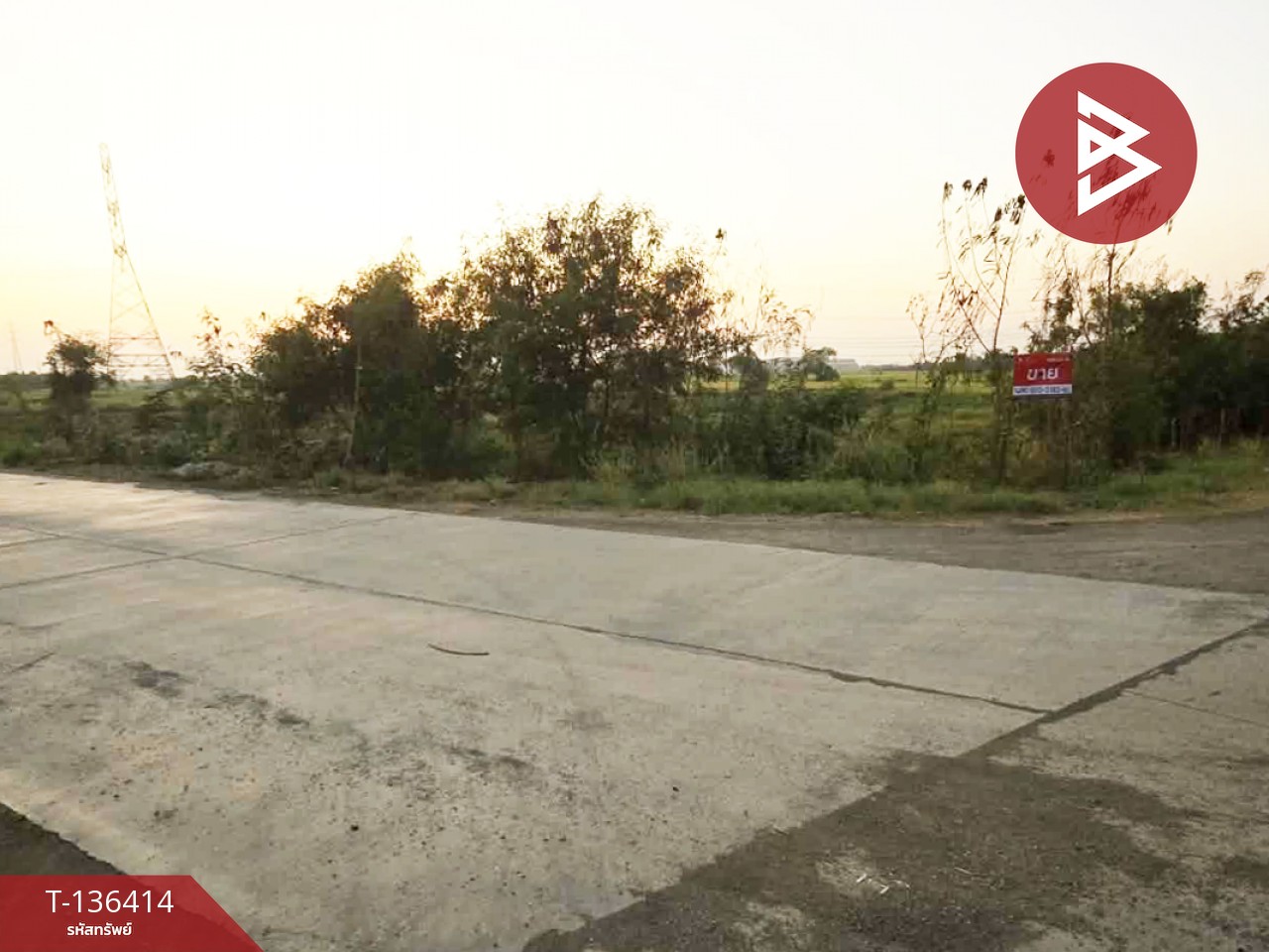 ขายที่ดิน เนื้อที่ 1 ไร่ 2 งาน 31 ตร.วา ท่าเรือ พระนครศรีอยุธยา 9