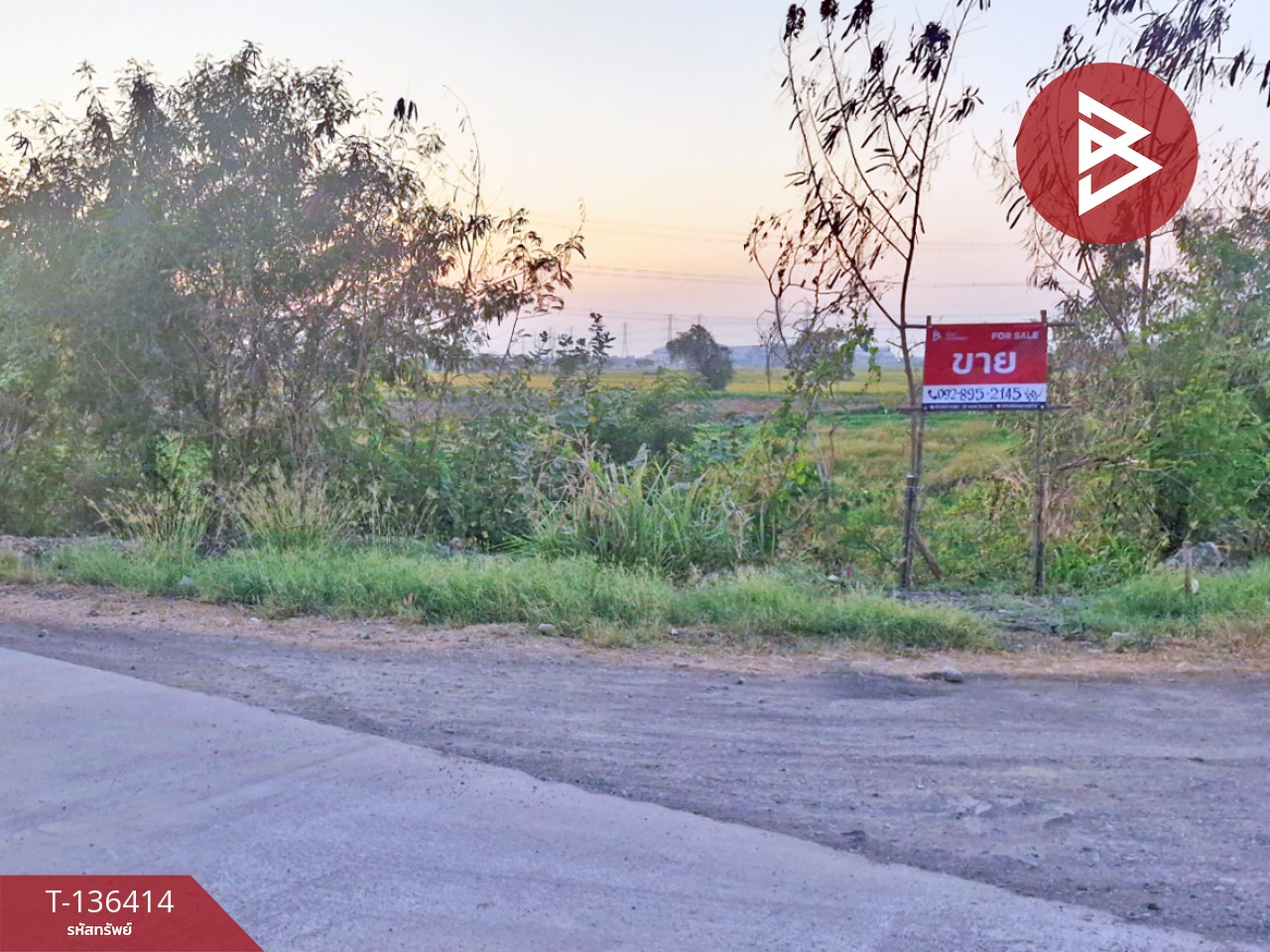 ขายที่ดิน เนื้อที่ 1 ไร่ 2 งาน 31 ตร.วา ท่าเรือ พระนครศรีอยุธยา 5