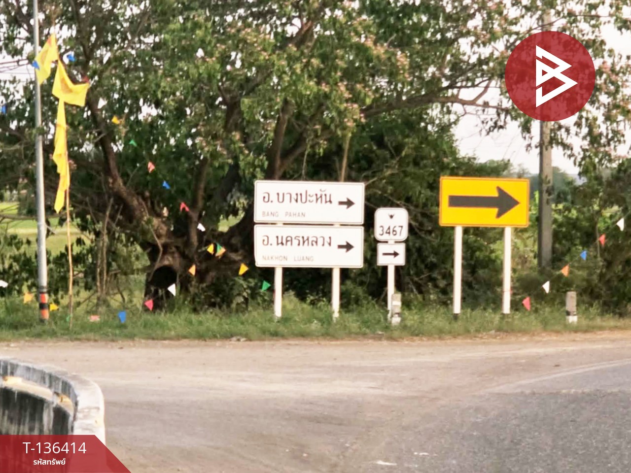 ขายที่ดิน เนื้อที่ 1 ไร่ 2 งาน 31 ตร.วา ท่าเรือ พระนครศรีอยุธยา 15