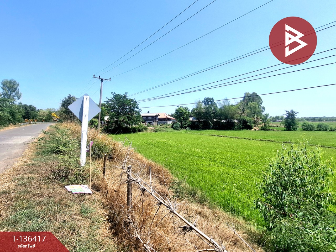 ขายที่ดิน เนื้อที่ 4 ไร่ 2 งาน 73 ตร.วา จังหาร ร้อยเอ็ด 4