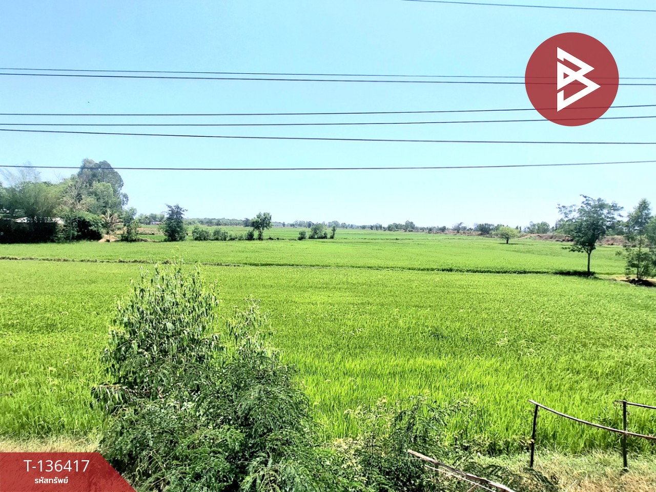 ขายที่ดิน เนื้อที่ 4 ไร่ 2 งาน 73 ตร.วา จังหาร ร้อยเอ็ด 6