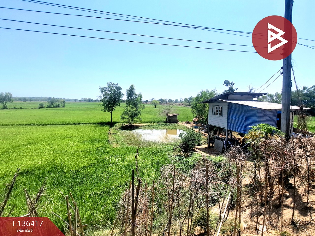 ขายที่ดิน เนื้อที่ 4 ไร่ 2 งาน 73 ตร.วา จังหาร ร้อยเอ็ด 10