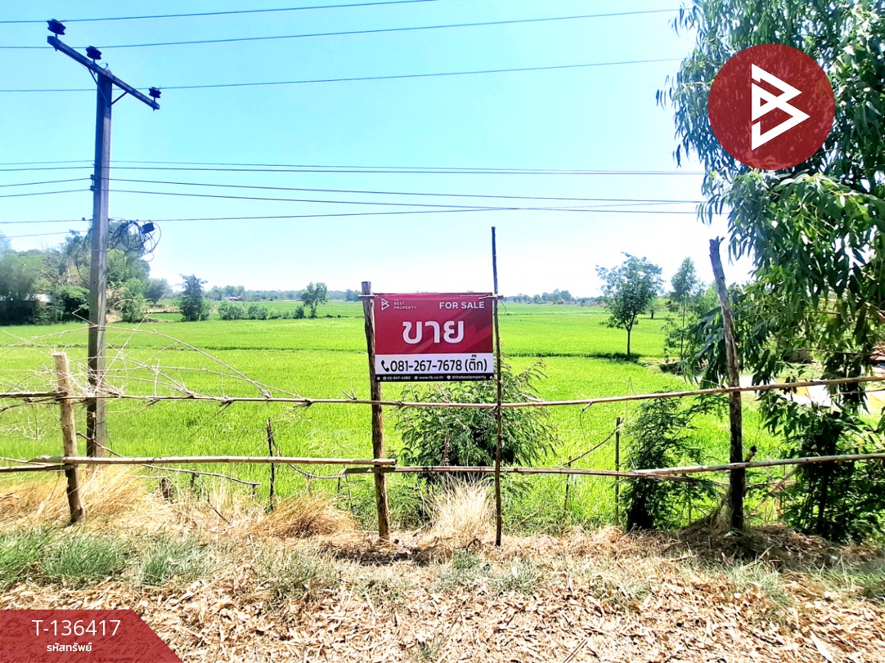 ขายที่ดิน เนื้อที่ 4 ไร่ 2 งาน 73 ตร.วา จังหาร ร้อยเอ็ด 13