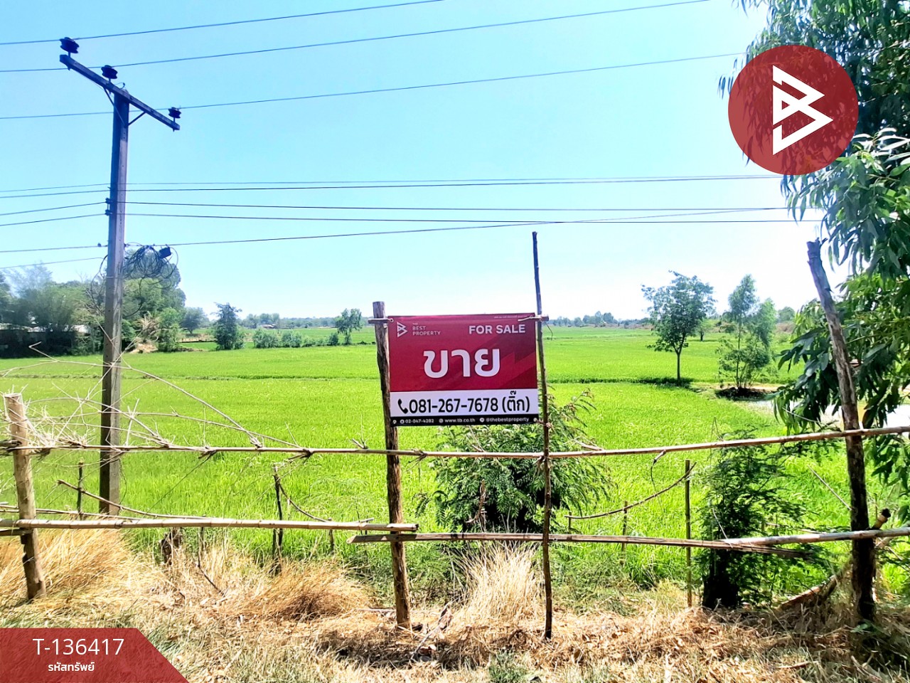 ขายที่ดิน เนื้อที่ 4 ไร่ 2 งาน 73 ตร.วา จังหาร ร้อยเอ็ด 1