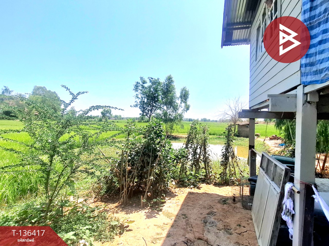 ขายที่ดิน เนื้อที่ 4 ไร่ 2 งาน 73 ตร.วา จังหาร ร้อยเอ็ด 11