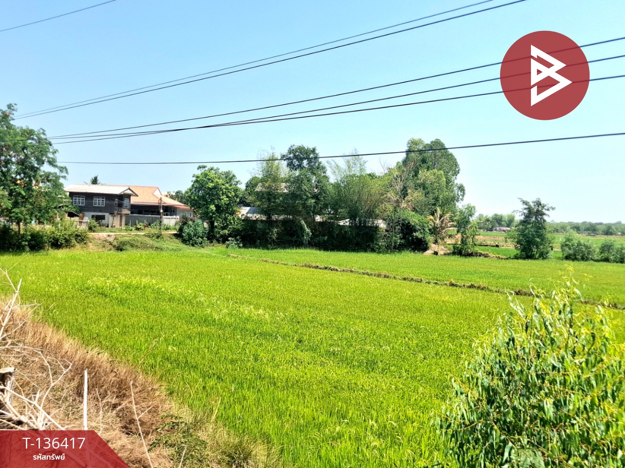 ขายที่ดิน เนื้อที่ 4 ไร่ 2 งาน 73 ตร.วา จังหาร ร้อยเอ็ด 12