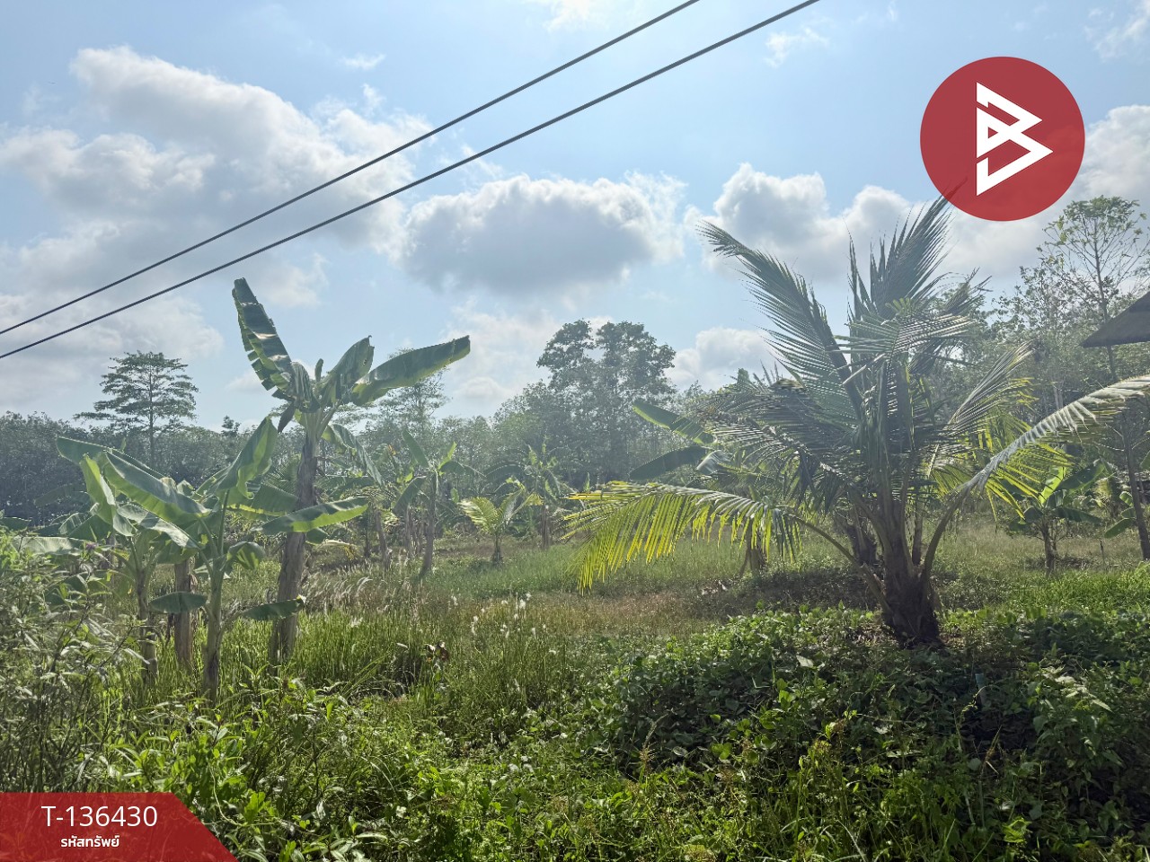 ขายที่ดิน เนื้อที่ 2 ไร่ 2 งาน 52 ตารางวา ต.สนามไชย อ.นายายอาม จ.จันทบุรี 6