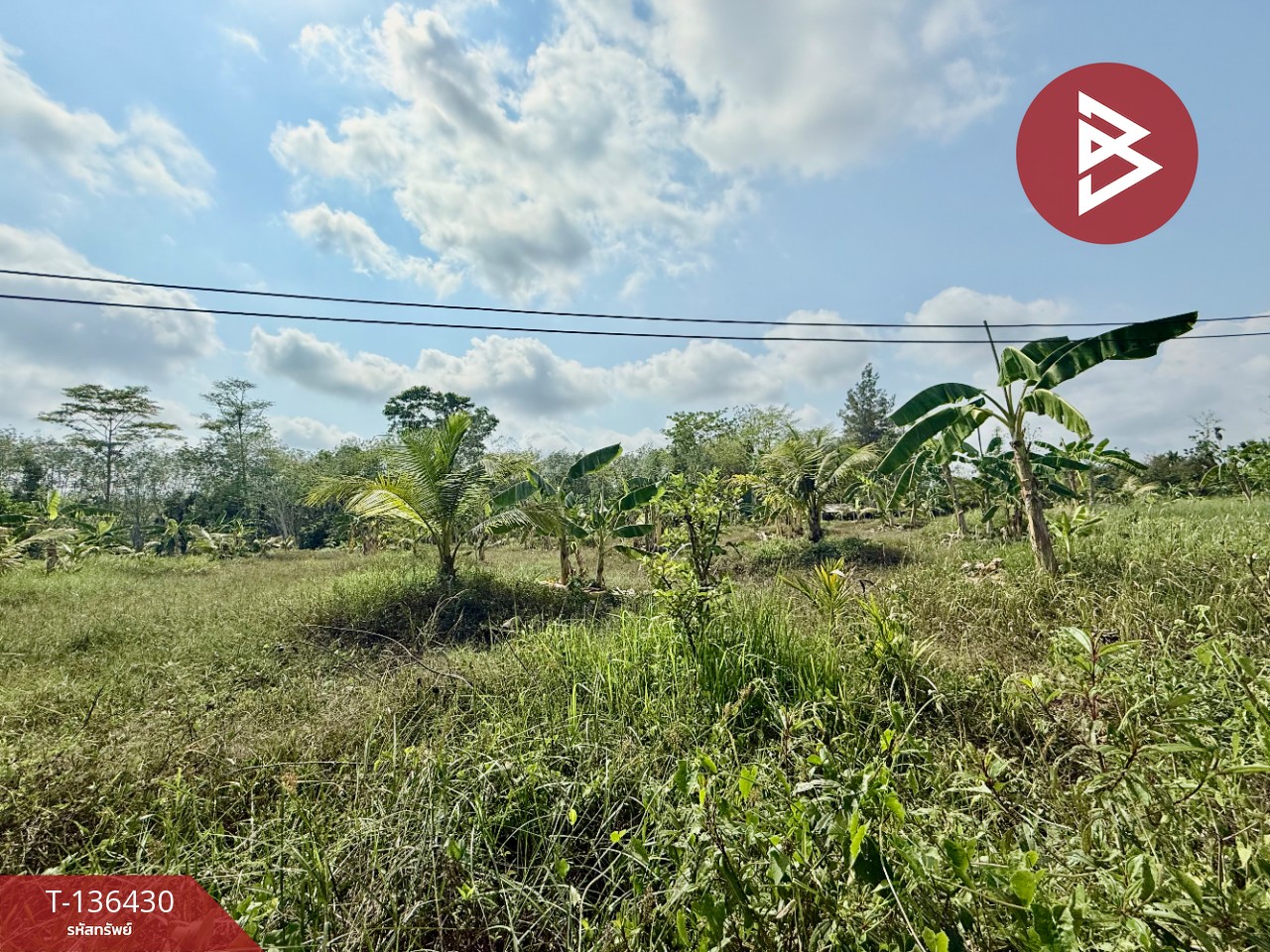 ขายที่ดิน เนื้อที่ 2 ไร่ 2 งาน 52 ตารางวา ต.สนามไชย อ.นายายอาม จ.จันทบุรี 2