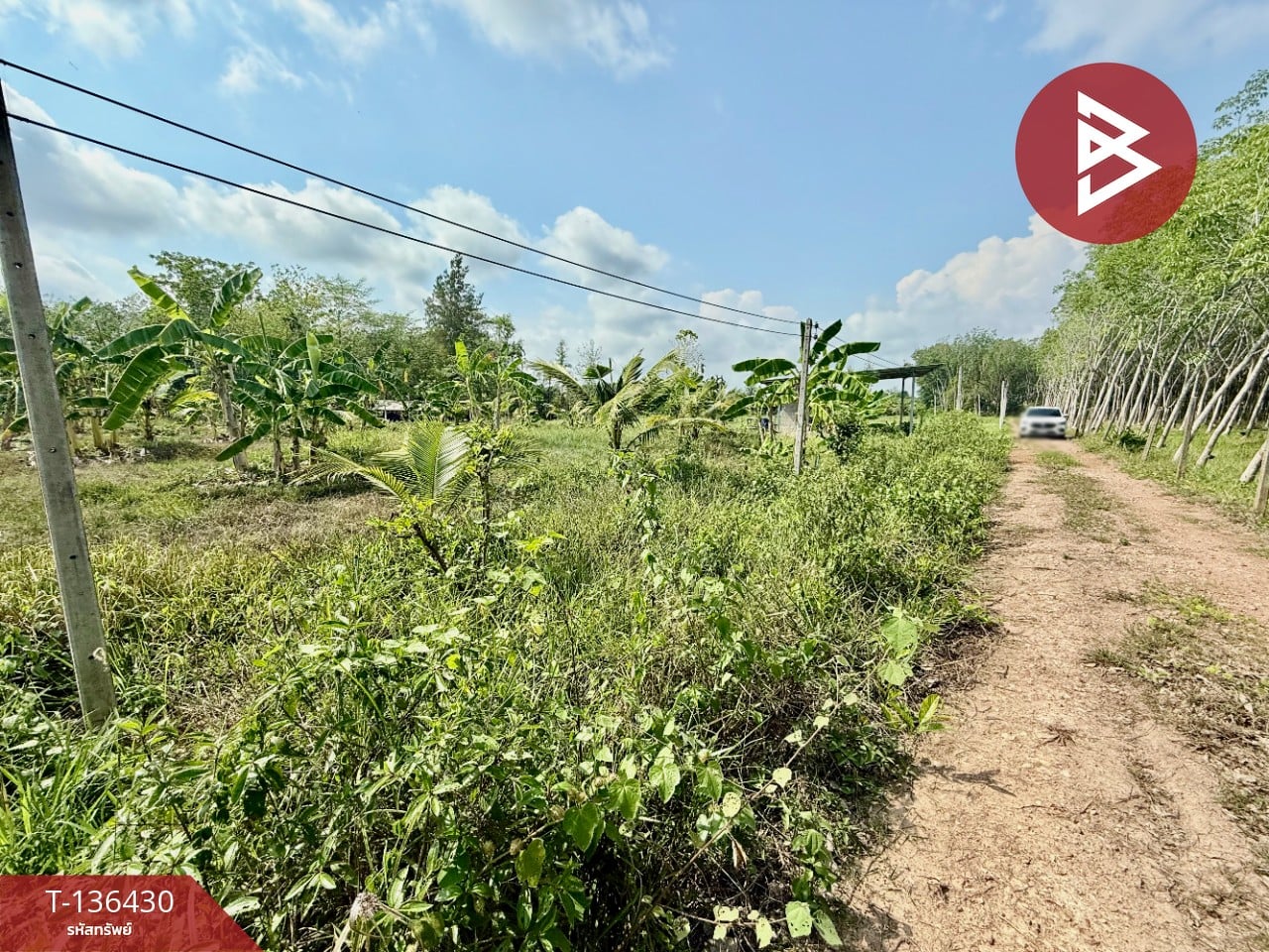 ขายที่ดิน เนื้อที่ 2 ไร่ 2 งาน 52 ตารางวา ต.สนามไชย อ.นายายอาม จ.จันทบุรี 4